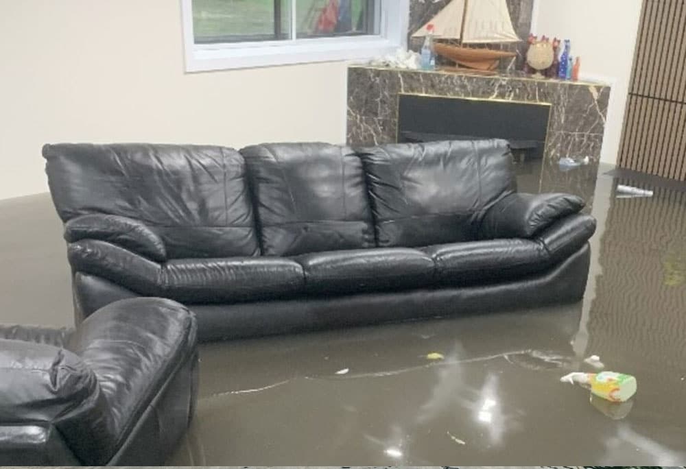 5 Kesalahan Fatal Saat Membersihkan Sofa Bekas Banjir di Rumah