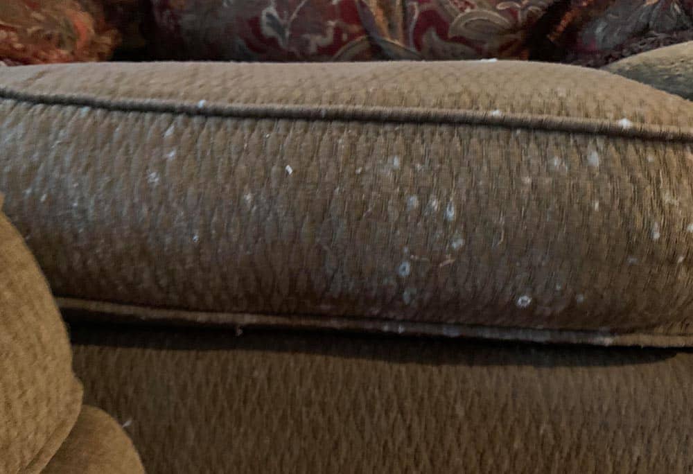 Kenapa Cuci Sofa Mandiri Sering Kali Malah Membuat Sofa Berjamur