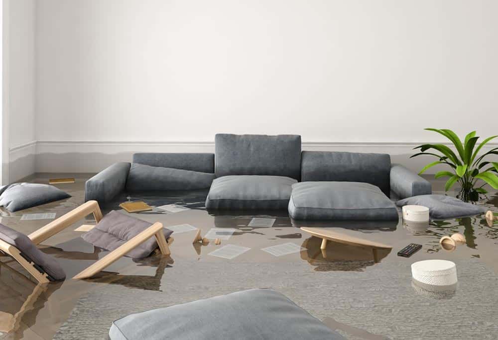 Rahasia Mengembalikan Sofa Bekas Banjir Seperti Baru Tanpa Harus Beli Lagi